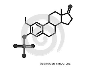 Oestrogen icon. Estrogen chemical molecular structure. Female steroid sex hormone sign. Hormone replacement therapy photo
