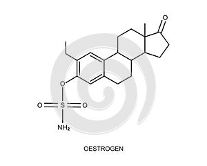 Oestrogen icon. Estrogen chemical molecular structure. Female steroid sex hormone sign isolated on white background photo