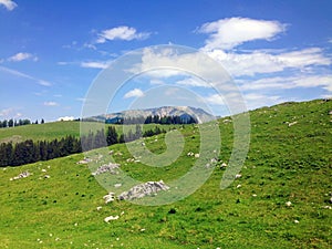 Oetscher from the Feldwiesalm