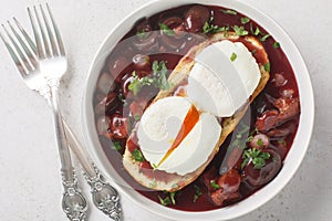 Oeufs en meurette Poached eggs in a red wine sauce with pearl onions, mushrooms and bacon closeup on the plate. Horizontal top