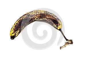 Ofer Ripe Banana Isolated on White