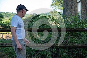 Off center man looks at fallen branches damage to fence by stone home