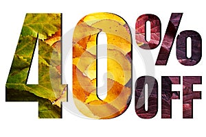 40% off discount promotion sale poster, ads. Autumn sale banner with green, yellow and red leaves on white background.