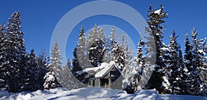 Off grid tiny house in the mountains