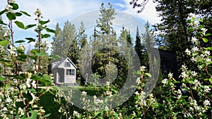 Off grid tiny house in the mountains