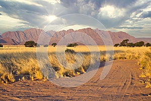 Off-road 4x4 jeep dirt track in Sossusvlei Namibian desert landscape