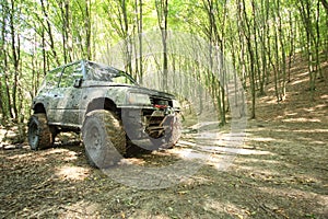 Off-road big-wheeled monster truck in mud forest