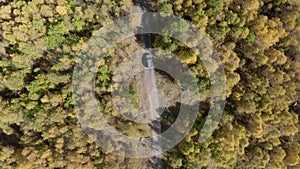 Off road car driving on dirt road through autumn forest top aerial view from drone. Traveling suv auto moving on forest