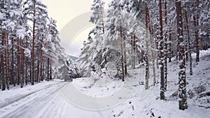 Off-road car, driving on mountain road in snowy road, surrounded by snow covered trees.