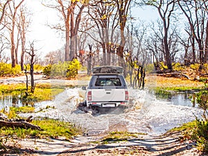 Off-road car fording water on safari wild drive in Chobe National Park, Botswana, Africa