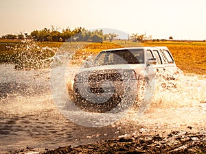 Off-road car fording water on safari wild drive in Chobe National Park, Botswana, Africa