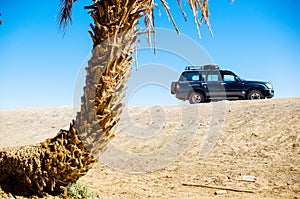 Off road car in front of palm in Morocco