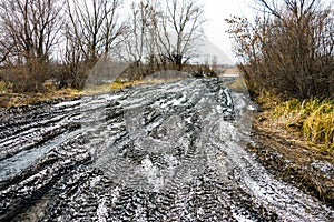 Off-road track in autumn forest