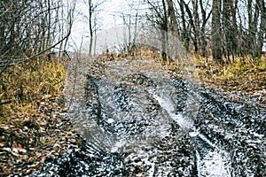 Off-road track in autumn forest