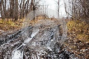 Off-road track in autumn forest