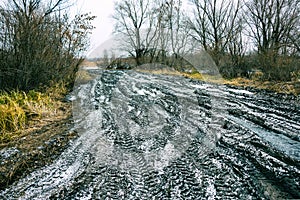 Off-road track in autumn forest