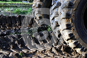 Off-Road Tracks