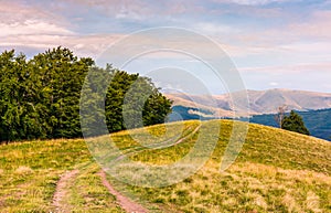 Off road trail through hills of Carpathians