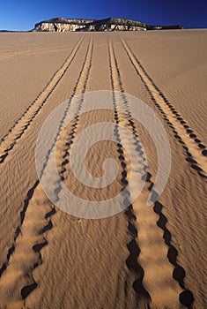 Off Road Vehicle Tracks in Sand