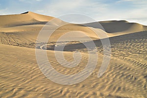Off road vehicle tracks in sand at Imperial Sand Dunes, California, USA