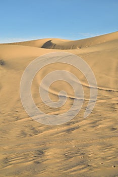 Off road vehicle tracks in sand at Imperial Sand Dunes, California, USA