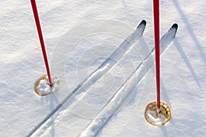 Off-track skis and ski poles on snow