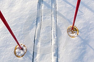 Off-track skis and ski poles on snow