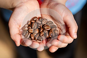 Ð¡offee beans in child hands