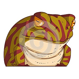 An Offended Frog, isolated vector illustration. Cartoon picture of a serious frowning toad sitting. Drawn animal sticker