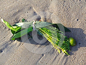 Offering for a successful fishing trip on Talala Beach in Sri Lanka