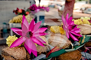 Offerings: pink lotus, yellow flowers