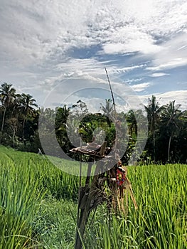 offerings to Dewi Sri for fertile and abundant rice