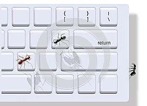 Office ants invade a computer keyboard photo