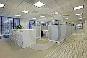 Office area with cubicles photo