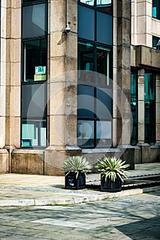 Office block with plants