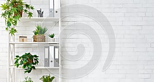 Office bookcase with plants and folders over wall