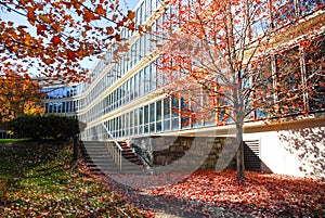 Office Building in Autumn