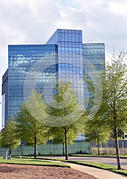 Office Building of Blue Glass, Tree Lined Sidewalk