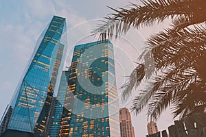 Office building after sunset with lights on and a tropical palm tree in the foreground