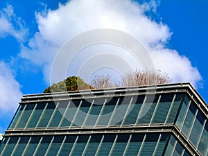 Office building top detail with roof garden. glass and aluminum curtain wall