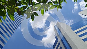 Office building and tree under white clouds and blue sky on the warmest noon in Thailand