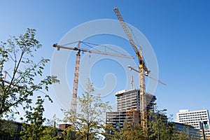 Office building under construction with cranes