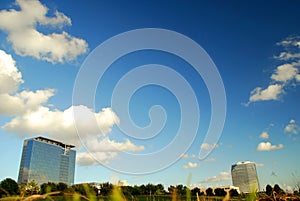 Office buildings and open field