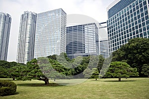 Office buildings surrounding Japanese garden photo