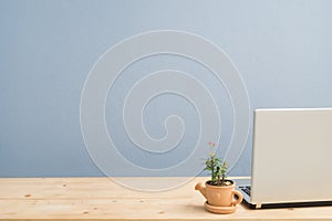 Office Desk with Euphorbia milii flower on terracotta flower pot and laptop.