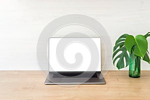 Office desk table with laptop computer with blank screen mockup and monstera plant on wooden surface. Minimal style workplace