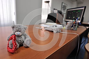 Office Desk With a Teddy Bear