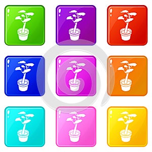 Office flower icons set 9 color collection