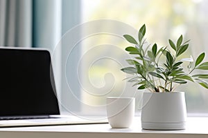 Office interior home desk background background table business designer white plant modern