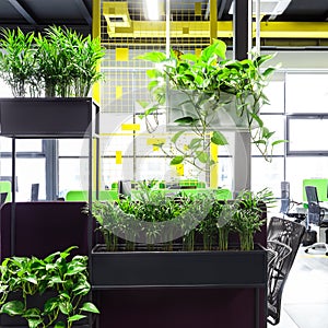 Office space interior with green plant corner for relaxing